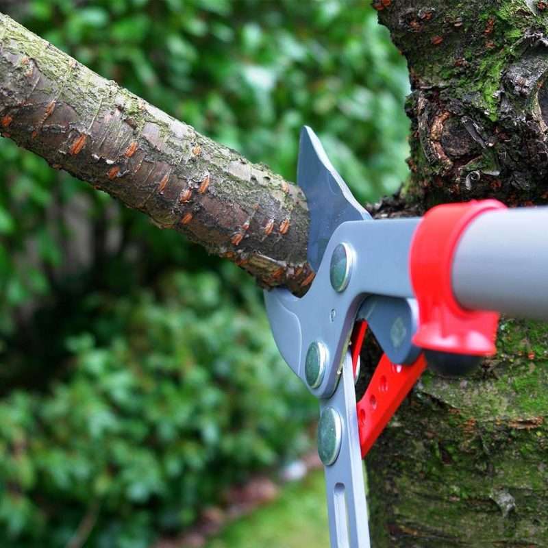 western ny tree trimming service mathews tree service